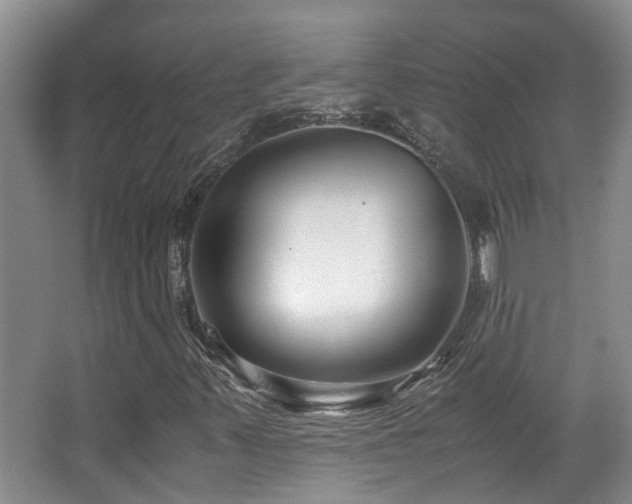 X0000063501347200601201402