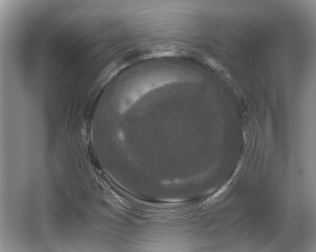 X0000063501353200601201402