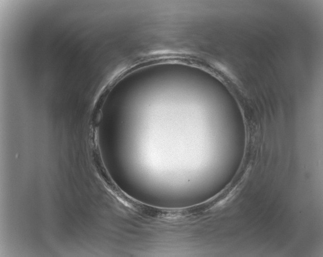 X0000063501357200601201402
