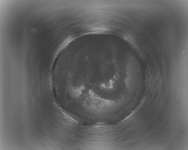 X0000063501362200601201401