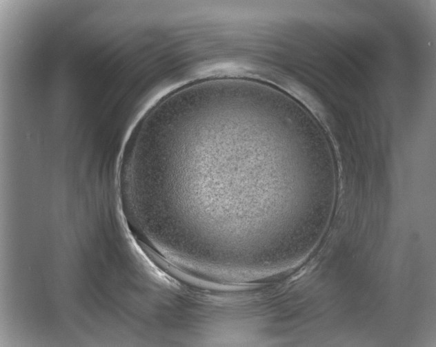 X0000063501392200601201401