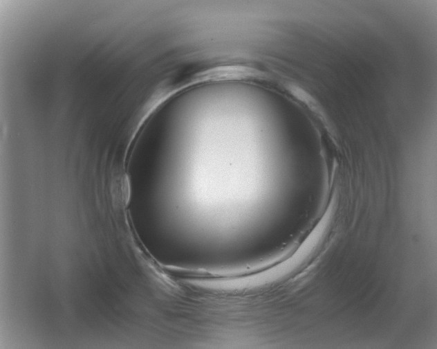 X0000063501473200601201400