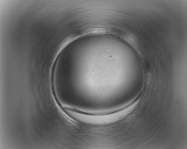 X0000063501475200601201400