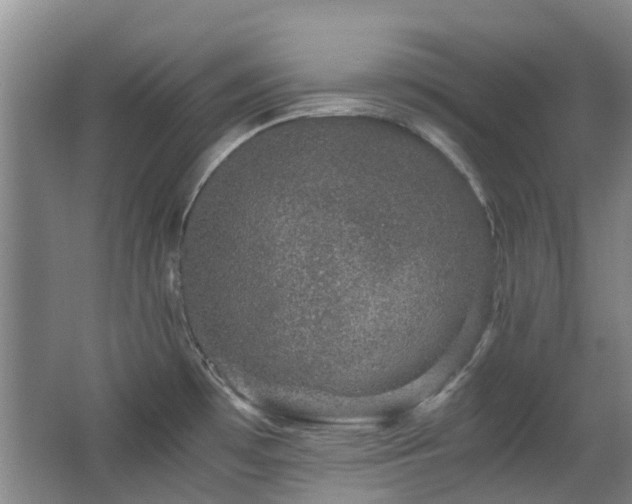 X0000063501481200601201359