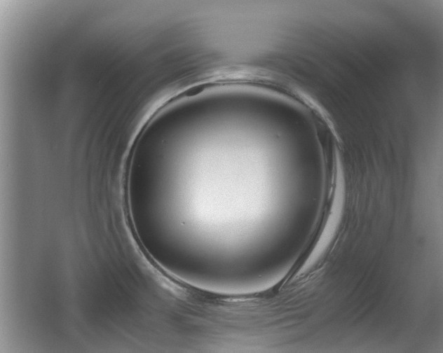 X0000063501483200601201359