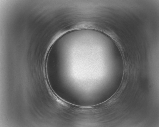 X0000063501486200601201359