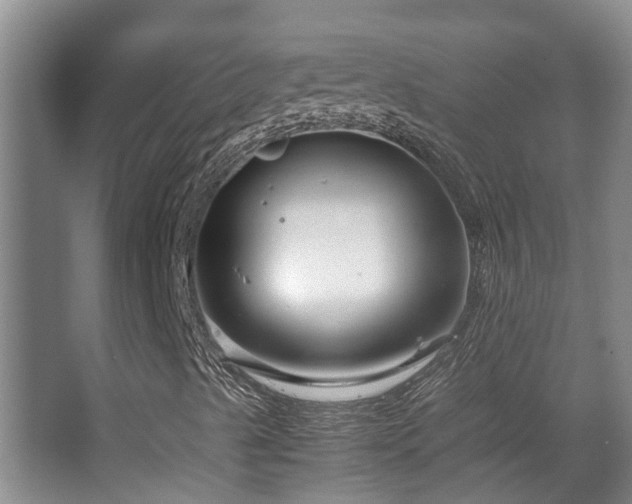 X0000063501489200601201359