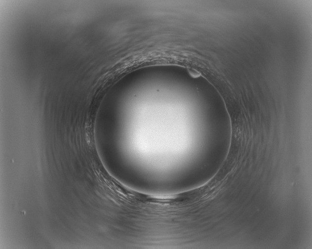 X0000063501490200601201359
