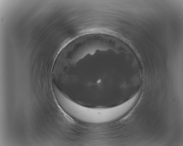 X0000063501529200601201359