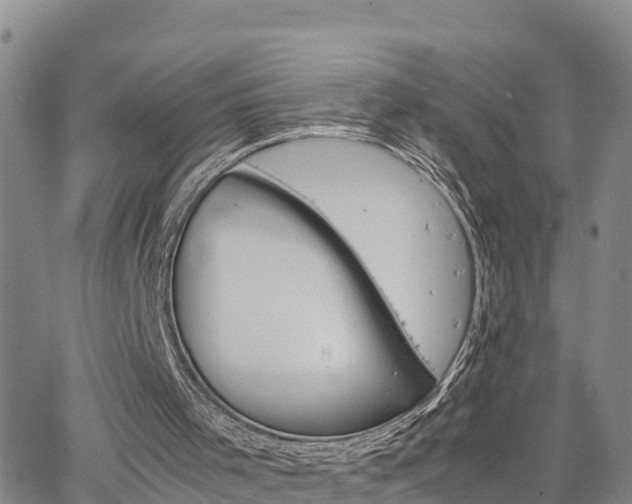 X0000063500001200601231449