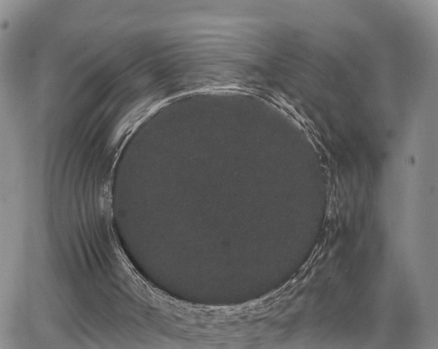 X0000063500002200601231449