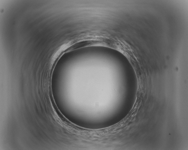 X0000063500003200601231449