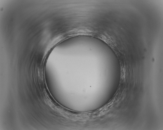 X0000063500004200601231449