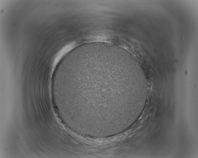 X0000063500006200601231449