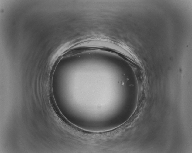 X0000063500007200601231449