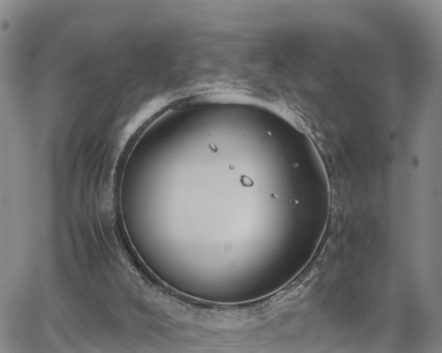 X0000063500008200601231449