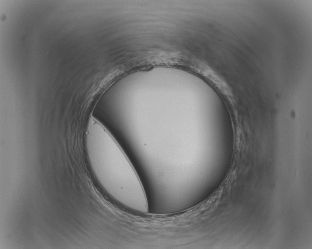 X0000063500009200601231449