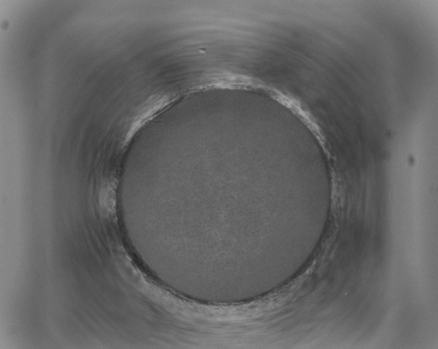 X0000063500010200601231449