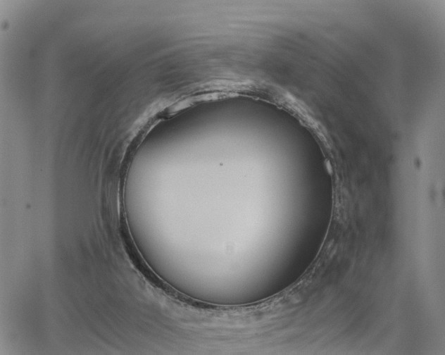 X0000063500011200601231449