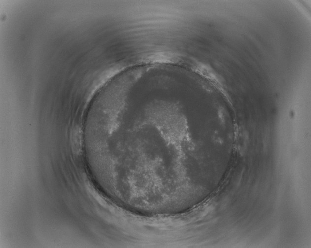 X0000063500012200601231449