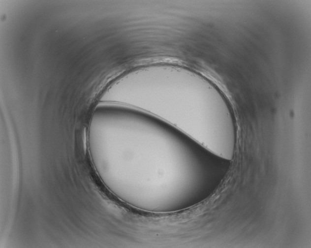 X0000063500013200601231449