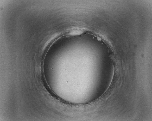 X0000063500015200601231449