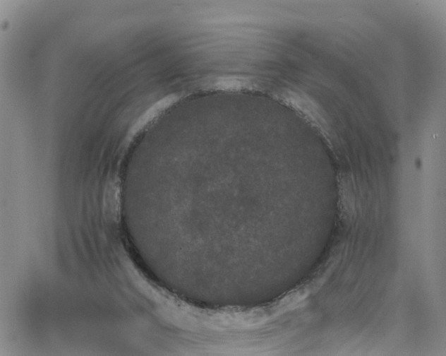 X0000063500016200601231448