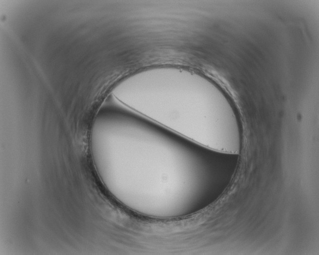 X0000063500017200601231448