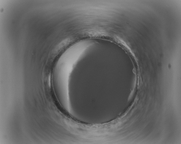 X0000063500019200601231448