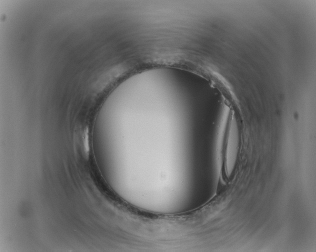 X0000063500020200601231448