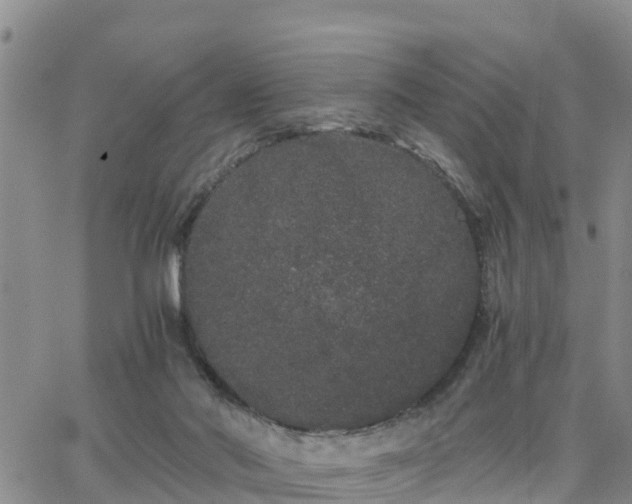 X0000063500022200601231448