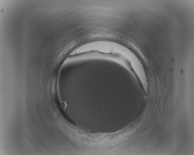 X0000063500023200601231448