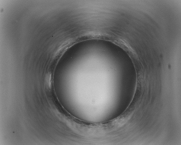 X0000063500024200601231448