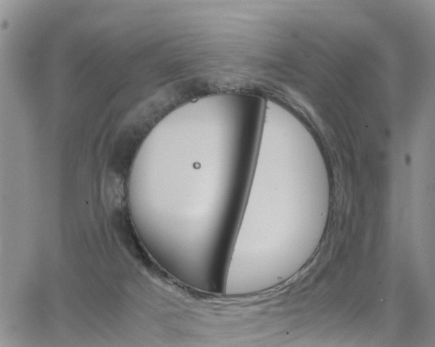 X0000063500025200601231448