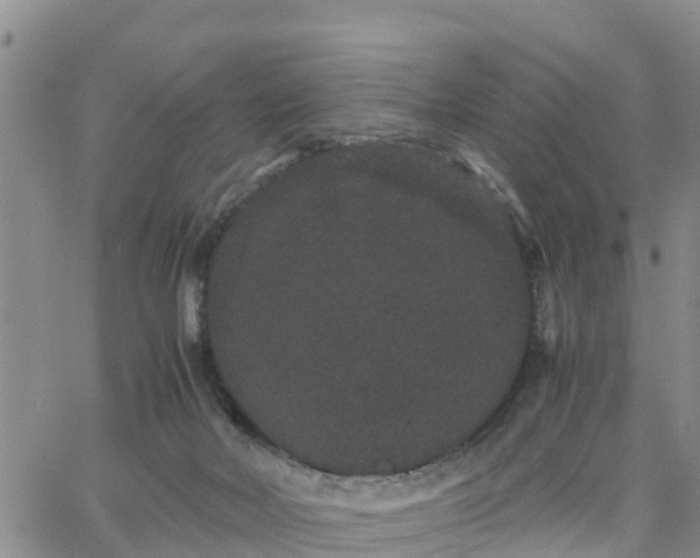 X0000063500026200601231448