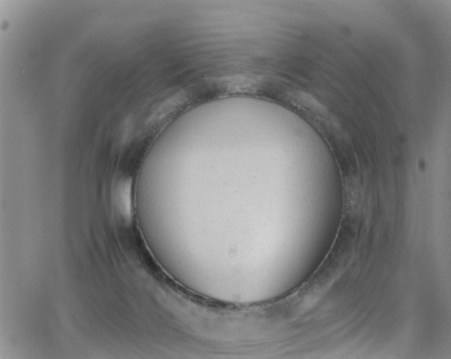 X0000063500028200601231448