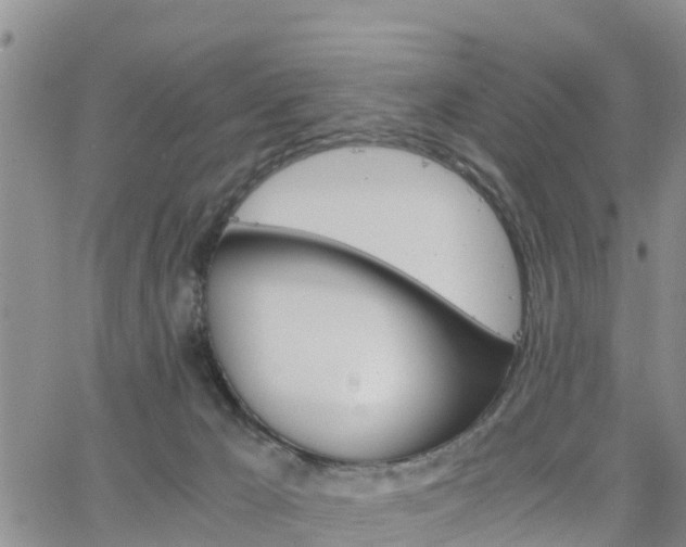 X0000063500029200601231448