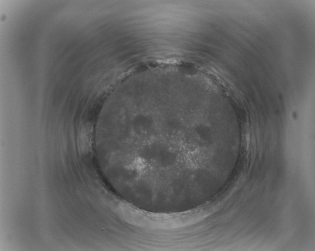 X0000063500030200601231448