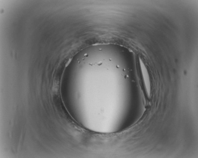 X0000063500033200601231448