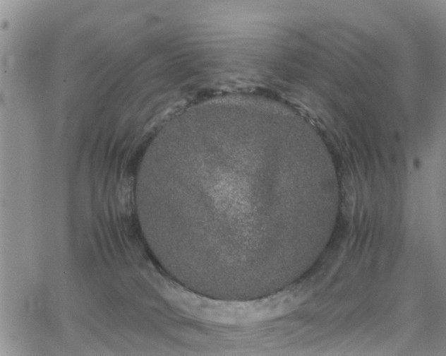 X0000063500034200601231448