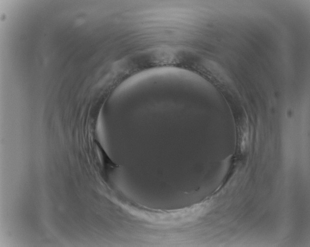 X0000063500035200601231448