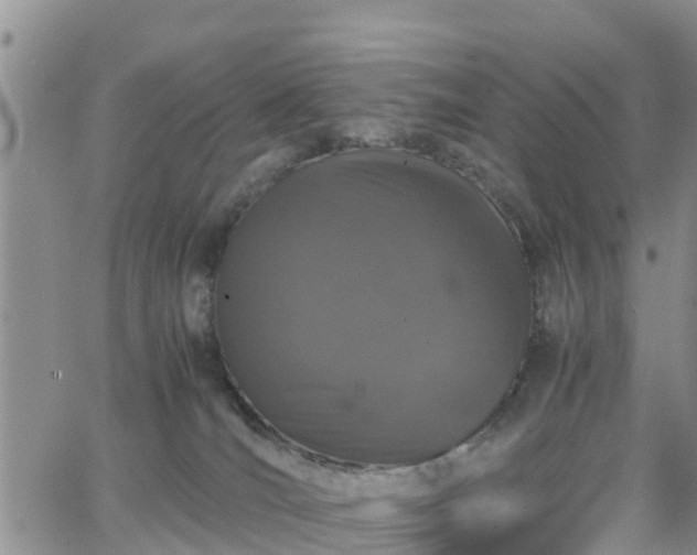 X0000063500036200601231448