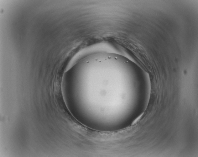 X0000063500037200601231448