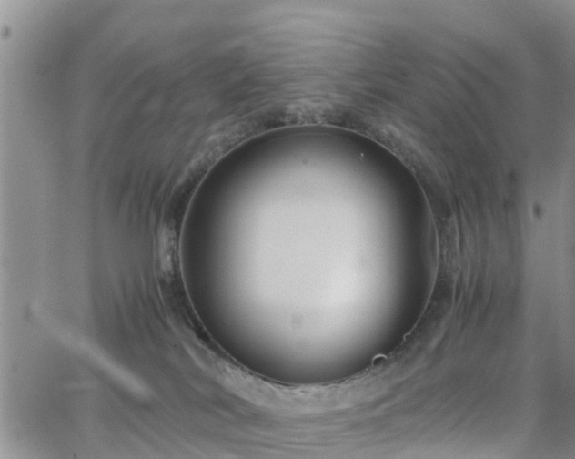 X0000063500038200601231448