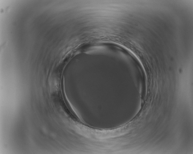 X0000063500039200601231448