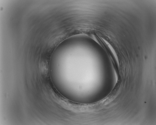 X0000063500040200601231448