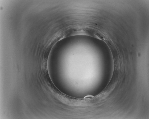 X0000063500044200601231448