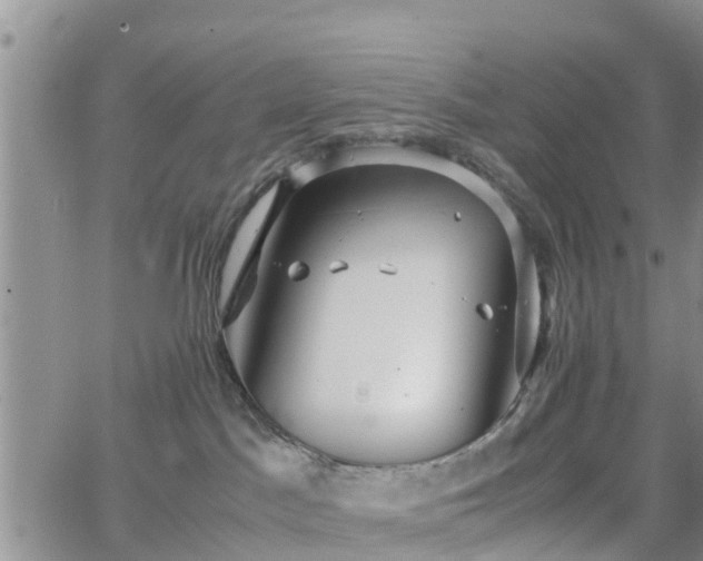 X0000063500045200601231448