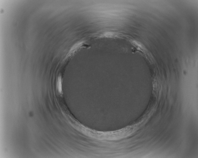 X0000063500046200601231448