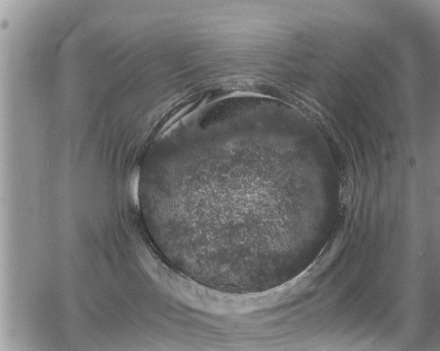 X0000063500047200601231448